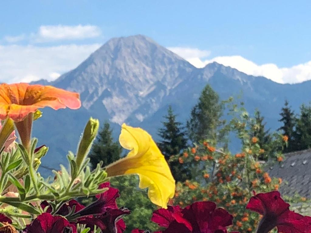 Gaestehaus Trink B&B Drobollach am Faakersee Buitenkant foto
